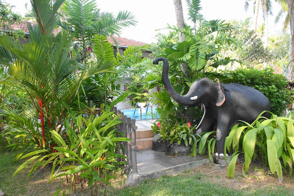 Pahalage Guesthouse Beruwala Luaran gambar