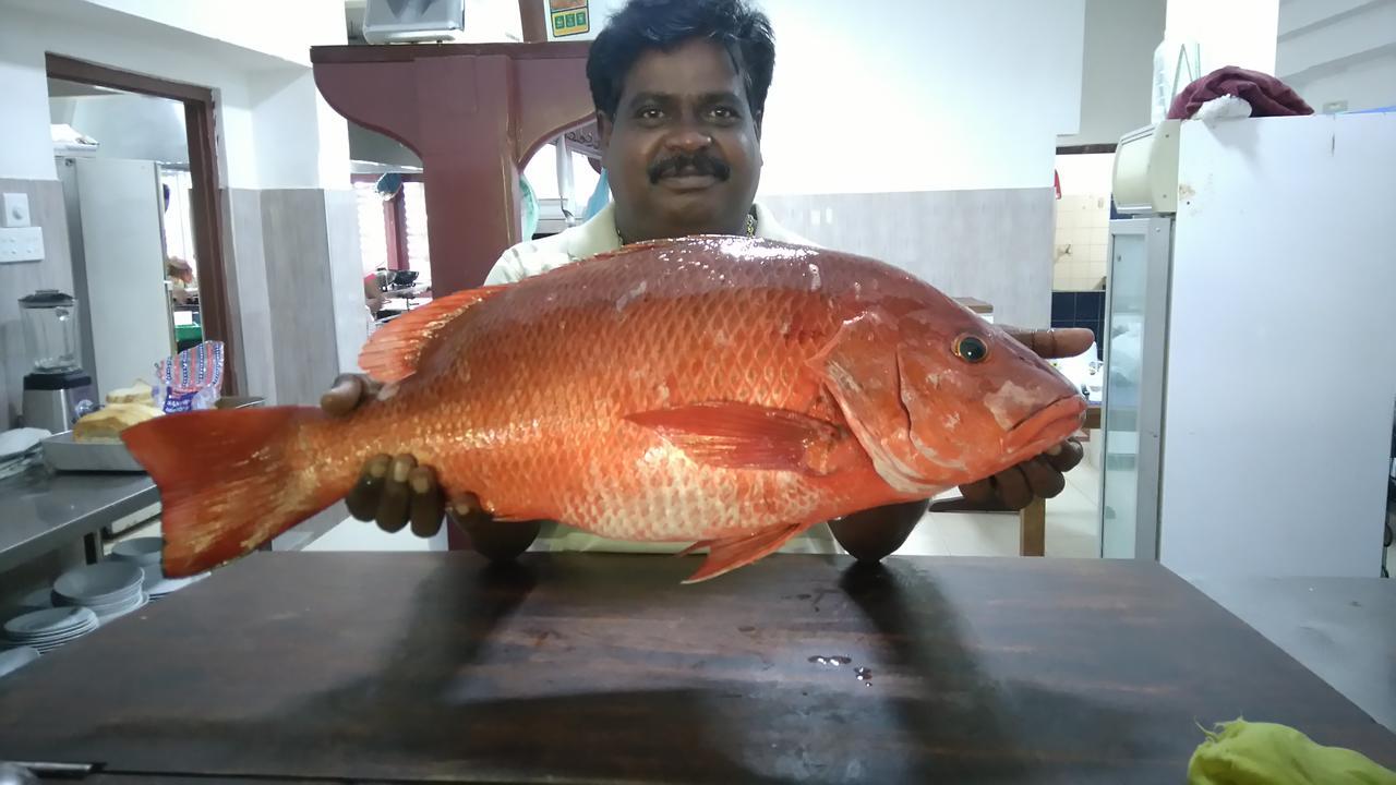 Pahalage Guesthouse Beruwala Luaran gambar